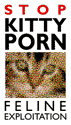 [Stop Kitty Porn Now!]