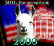 [Naked Dancing Llama For President]
